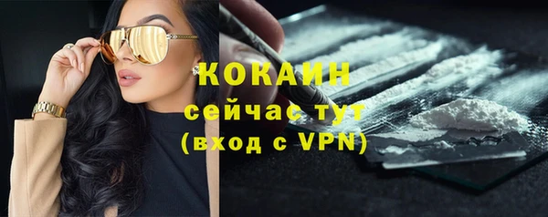 соль курить ск Каменногорск