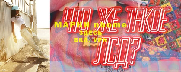 соль ск Каменка