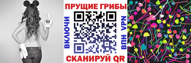 Купить закладки  Балей  Псилоцибиновые грибы Magic Shrooms 